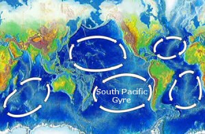 The five main oceanic gyres