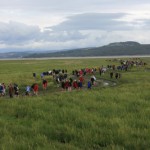Walkers arrive at Kents bank - more or less dry again!