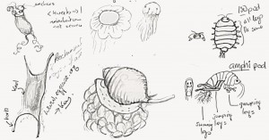 Sketches based on the presentations