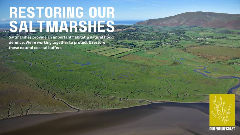 Our Future Coast - Restoring Saltmarshes