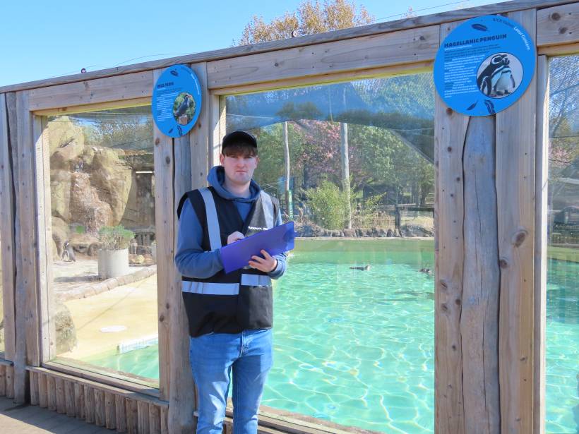 Alex Carter recording penguin behaviour at Blackpool zoo.
