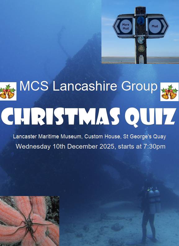 MCS Xmas quiz 2025.