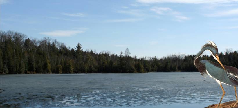 The Anthropocene by Lewis Bambury